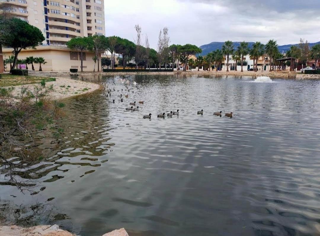 Arena Y Mar Daire Tavernes de Valldigna Dış mekan fotoğraf