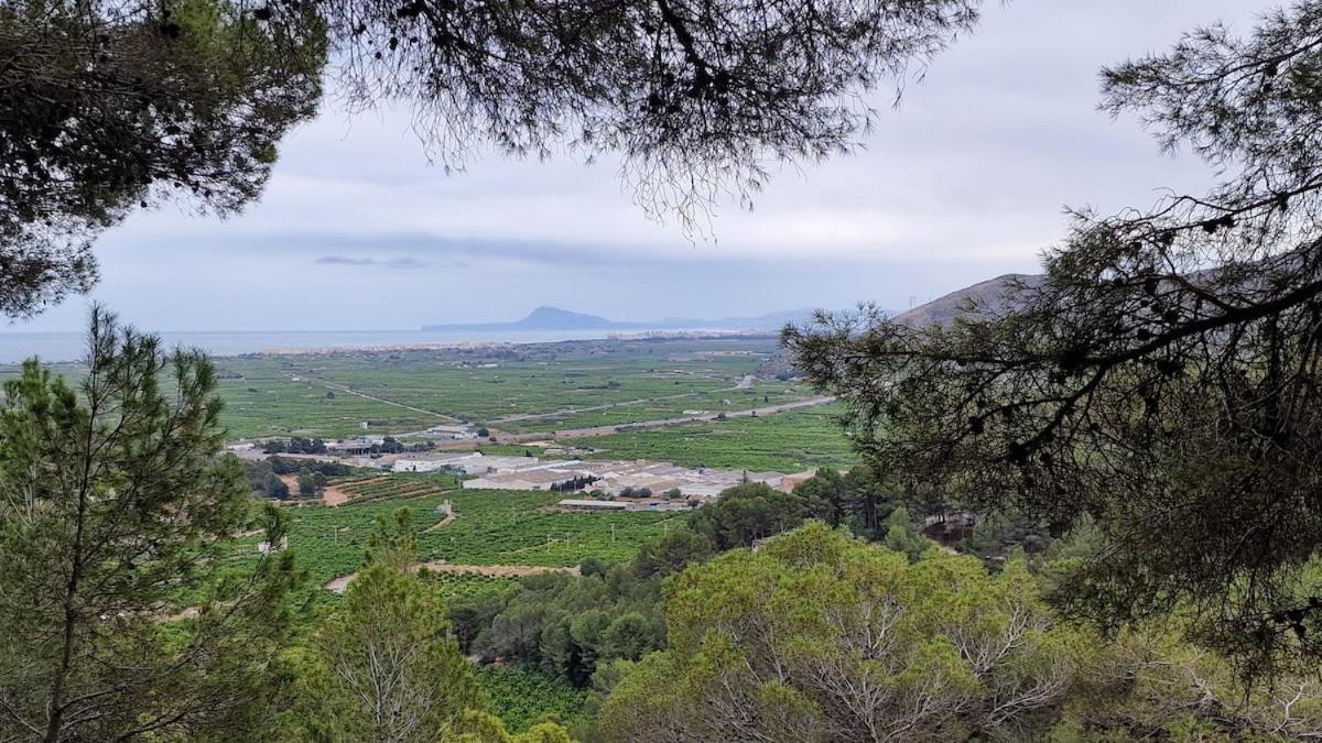 Arena Y Mar Daire Tavernes de Valldigna Dış mekan fotoğraf